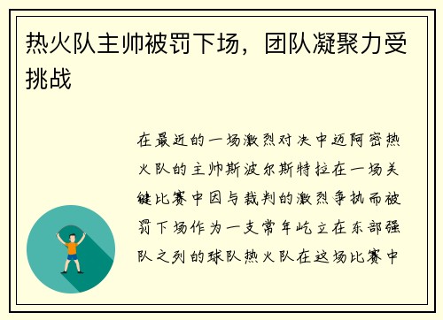 热火队主帅被罚下场，团队凝聚力受挑战